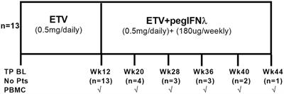 Peg-Interferon Lambda Treatment Induces Robust Innate and Adaptive Immunity in Chronic Hepatitis B Patients